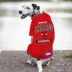 Pets First Chicago Bulls Tee image thumbnail 2