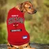 Pets First Chicago Bulls Tee image thumbnail 3