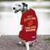 Pets First Cleveland Cavaliers Tee image thumbnail 2
