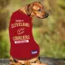 Pets First Cleveland Cavaliers Tee image thumbnail 3