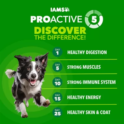 IAMS High Protein Adult Dog Food - Chicken & Beef - Image 2