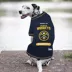 Pets First Denver Nuggets Tee image thumbnail 2