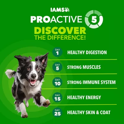 IAMS High Protein Adult Dog Food - Chicken & Beef - Image 2
