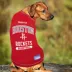 Pets First Houston Rockets Tee image thumbnail 2