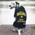 Pets First Indiana Pacers Tee image thumbnail 2