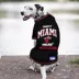 Pets First Miami Heat Tee image thumbnail 3