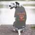 Pets First New York Knicks Tee image thumbnail 2