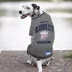 Pets First Oklahoma City Thunder Tee image thumbnail 2