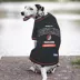 Pets First Portland Trailblazers T-Shirt image thumbnail 2