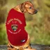 Pets First Florida Panthers Tee image thumbnail 4