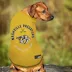 Pets First Nashville Predators T-Shirt image thumbnail 2