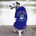 Pets First New York Rangers Tee image thumbnail 2