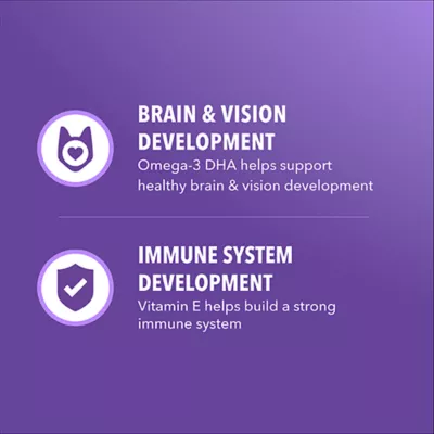 IAMS Proactive Health™ Kitten Cat Dry Food - Healthy Kitten, Salmon - Image 2