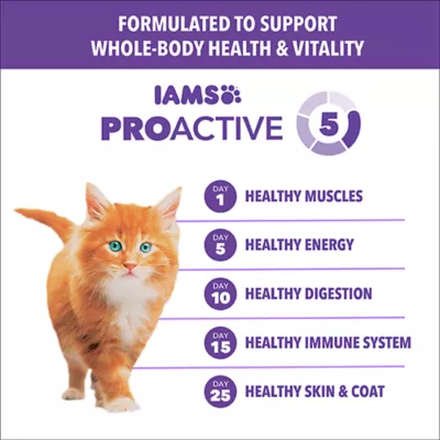 IAMS Proactive Health™ Kitten Cat Dry Food - Healthy Kitten, Salmon - Image 3
