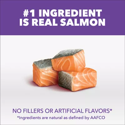 IAMS Proactive Health™ Kitten Cat Dry Food - Healthy Kitten, Salmon - Image 4