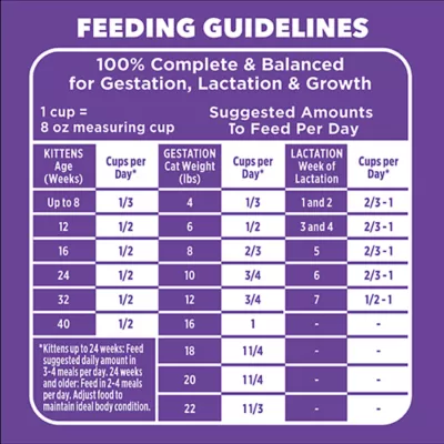 IAMS Proactive Health™ Kitten Cat Dry Food - Healthy Kitten, Salmon - Image 5