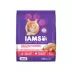 IAMS Proactive Health™ Kitten Cat Dry Food - Healthy Kitten, Salmon image thumbnail 1