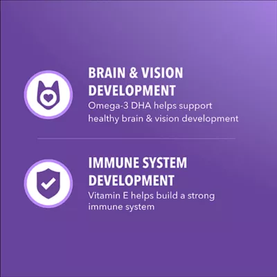 IAMS Proactive Health™ Kitten Cat Dry Food - Healthy Kitten, Salmon - Image 2