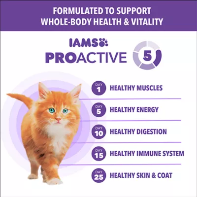 IAMS Proactive Health™ Kitten Cat Dry Food - Healthy Kitten, Salmon - Image 3
