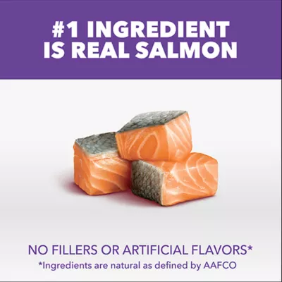 IAMS Proactive Health™ Kitten Cat Dry Food - Healthy Kitten, Salmon - Image 4