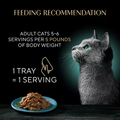 Sheba® Perfect Portions™ Adult Wet Cat Food - Grilled Bites In Sauce, 2.65 Oz - Image 5