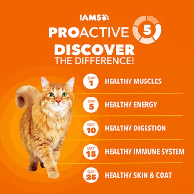 IAMS™ Proactive Health™ Adult Dry Cat Food - Healthy Adult, Salmon - Image 3