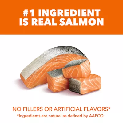 IAMS™ Proactive Health™ Adult Dry Cat Food - Healthy Adult, Salmon - Image 4