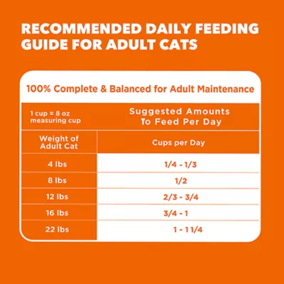 IAMS™ Proactive Health™ Adult Dry Cat Food - Healthy Adult, Salmon - Image 5
