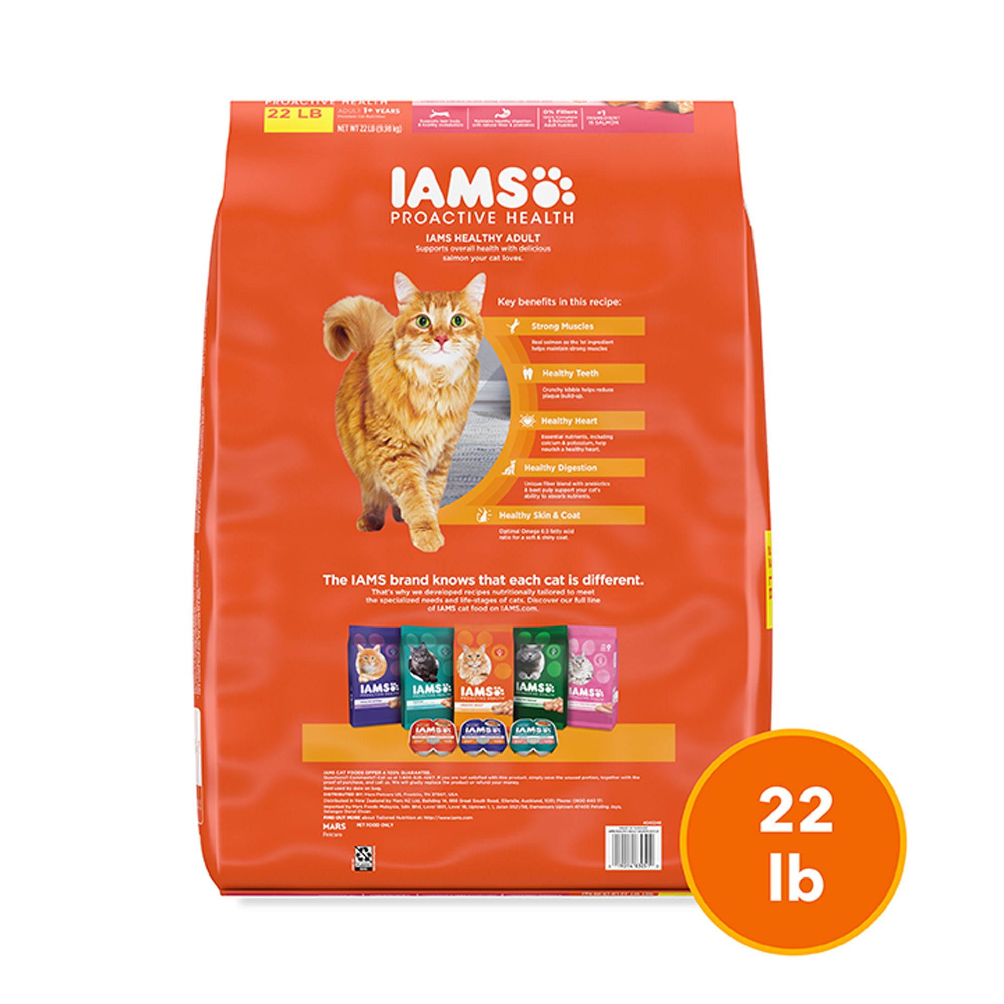 IAMS™ Proactive Health™ Adult Dry Cat Food - Healthy Adult, Salmon