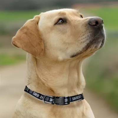 Pets First San Diego FC Satin Collar - Image 4