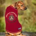 Pets First Atlanta United Tee image thumbnail 4