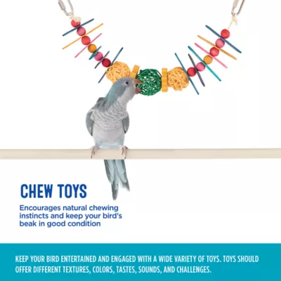 All Living Things® Chew Bird Toy - Image 4