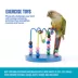 All Living Things® Exercise Bird Toy image thumbnail 4