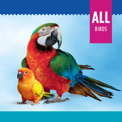 All Living Things® Exercise Bird Toy - Image 2