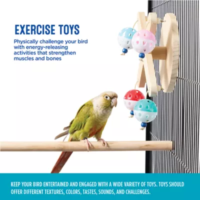 All Living Things® Exercise Bird Toy - Image 4