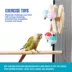 All Living Things® Exercise Bird Toy image thumbnail 4