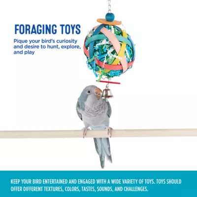 All Living Things® Foraging Bird Toy - Image 4