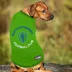 Pets First Seattle Sounders FC T-Shirt image thumbnail 4