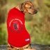 Pets First St. Louis SC Tee image thumbnail 3