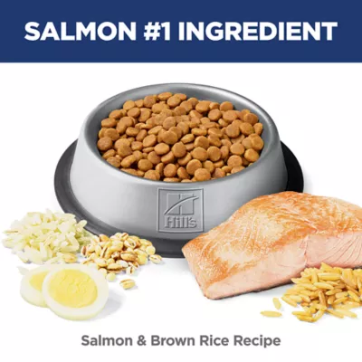 Hills Science Diet Adult Cat Dry Food - Sensitive Stomach & Skin, Salmon & Brown Rice - Image 4