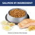 Hills Science Diet Adult Cat Dry Food - Sensitive Stomach & Skin, Salmon & Brown Rice image thumbnail 4