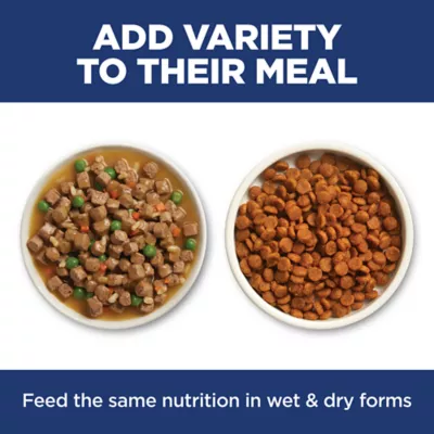 Hills Science Diet Adult Cat Dry Food - Sensitive Stomach & Skin, Salmon & Brown Rice - Image 7