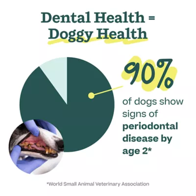 WOOF Pupsicle Dog Dental Mix - Image 3
