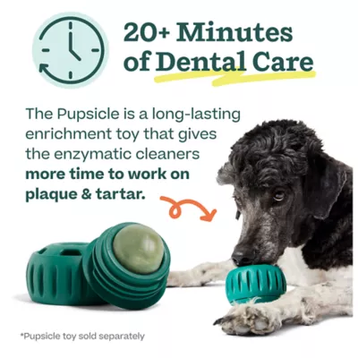 WOOF Pupsicle Dog Dental Mix - Image 4
