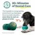 WOOF Pupsicle Dog Dental Mix image thumbnail 4