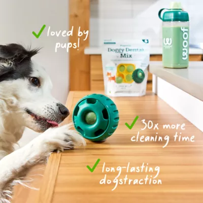 WOOF Pupsicle Dog Dental Mix - Image 6