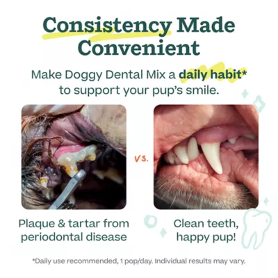 WOOF Pupsicle Dog Dental Mix - Image 7