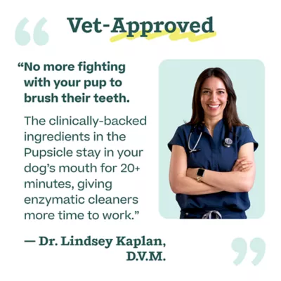 WOOF Pupsicle Dog Dental Mix - Image 8