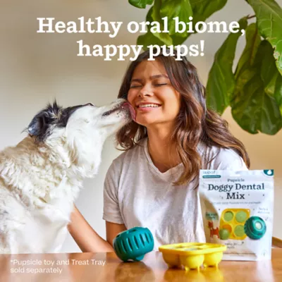 WOOF Pupsicle Dog Dental Mix - Image 9