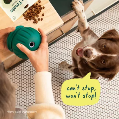 WOOF Forager Puzzle Treats - Image 7